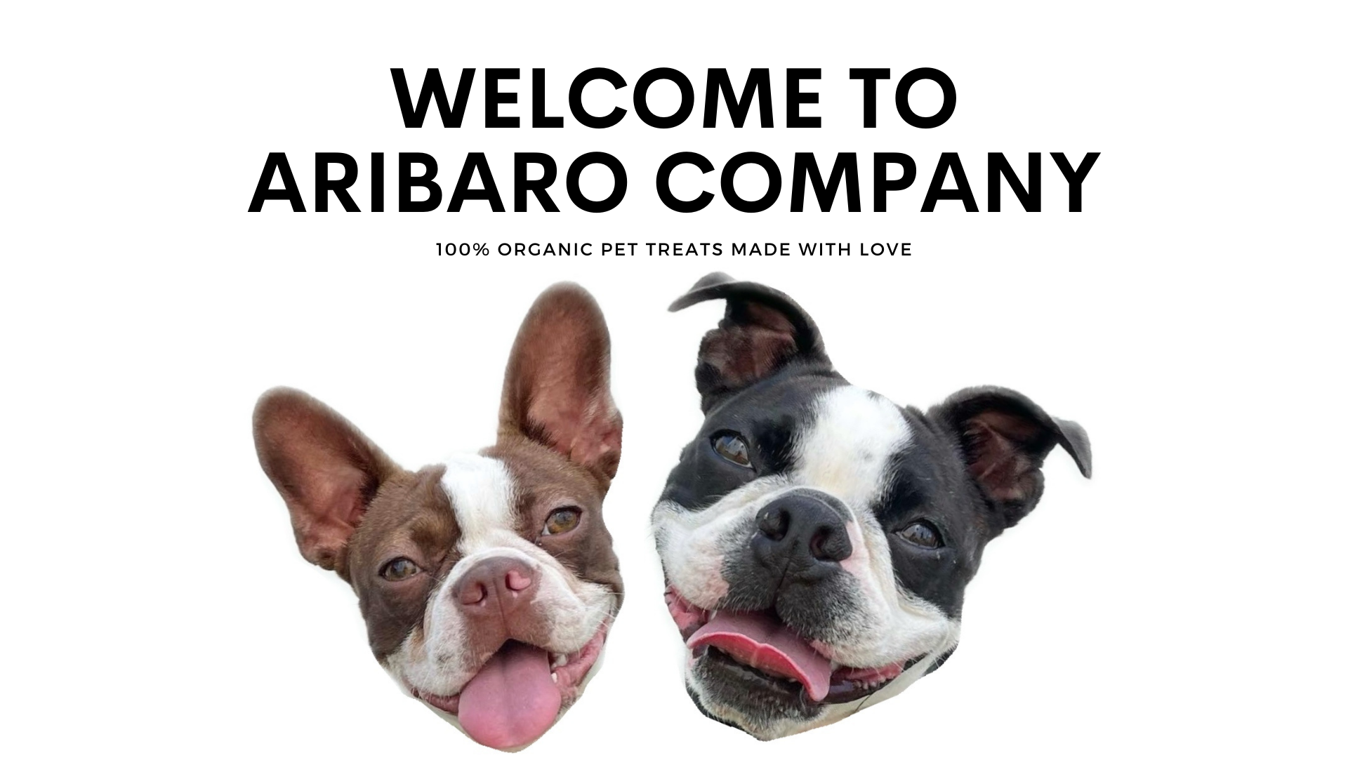 ariibaro company main page