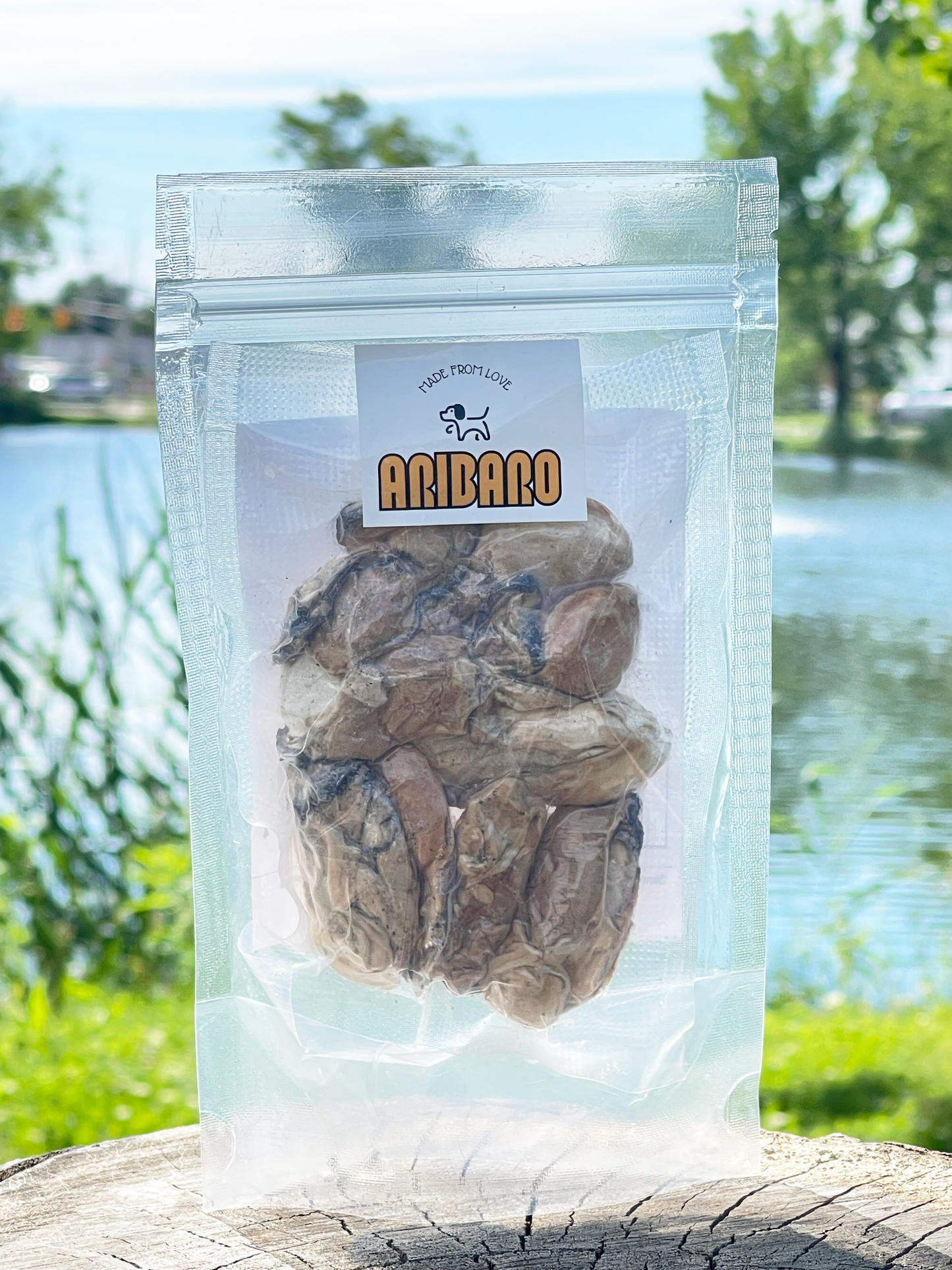 Aribaro Company Freeze-Dried Raw Wild Catch Oysters